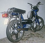 Kreidler Flory